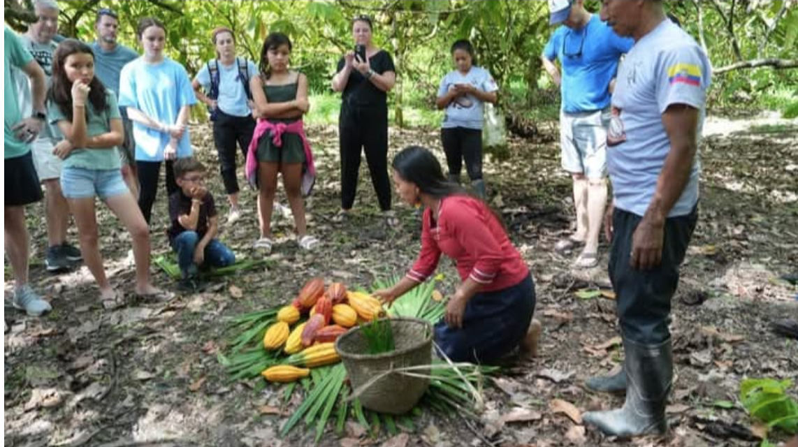 Tour cacao y cultura amazónica en Tena